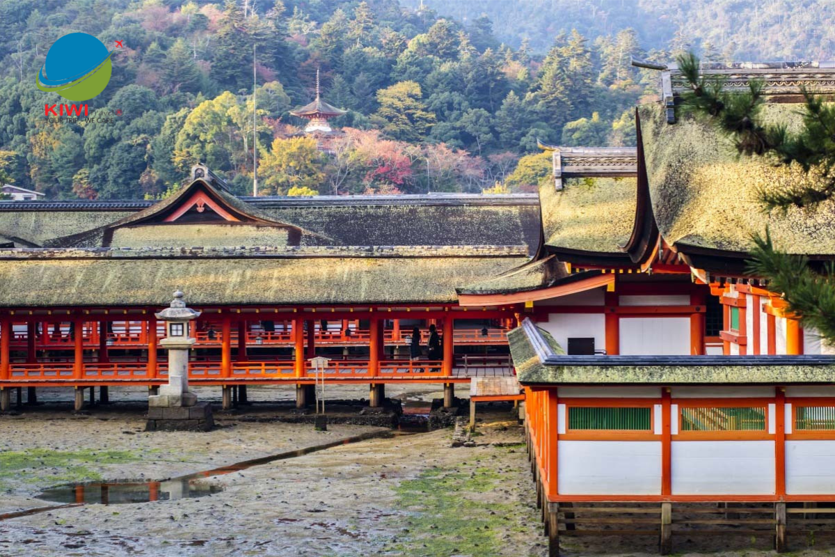 Những Sự Thật Thú Vị Về Nhật Bản Mà Bạn Chưa Nghe Qua