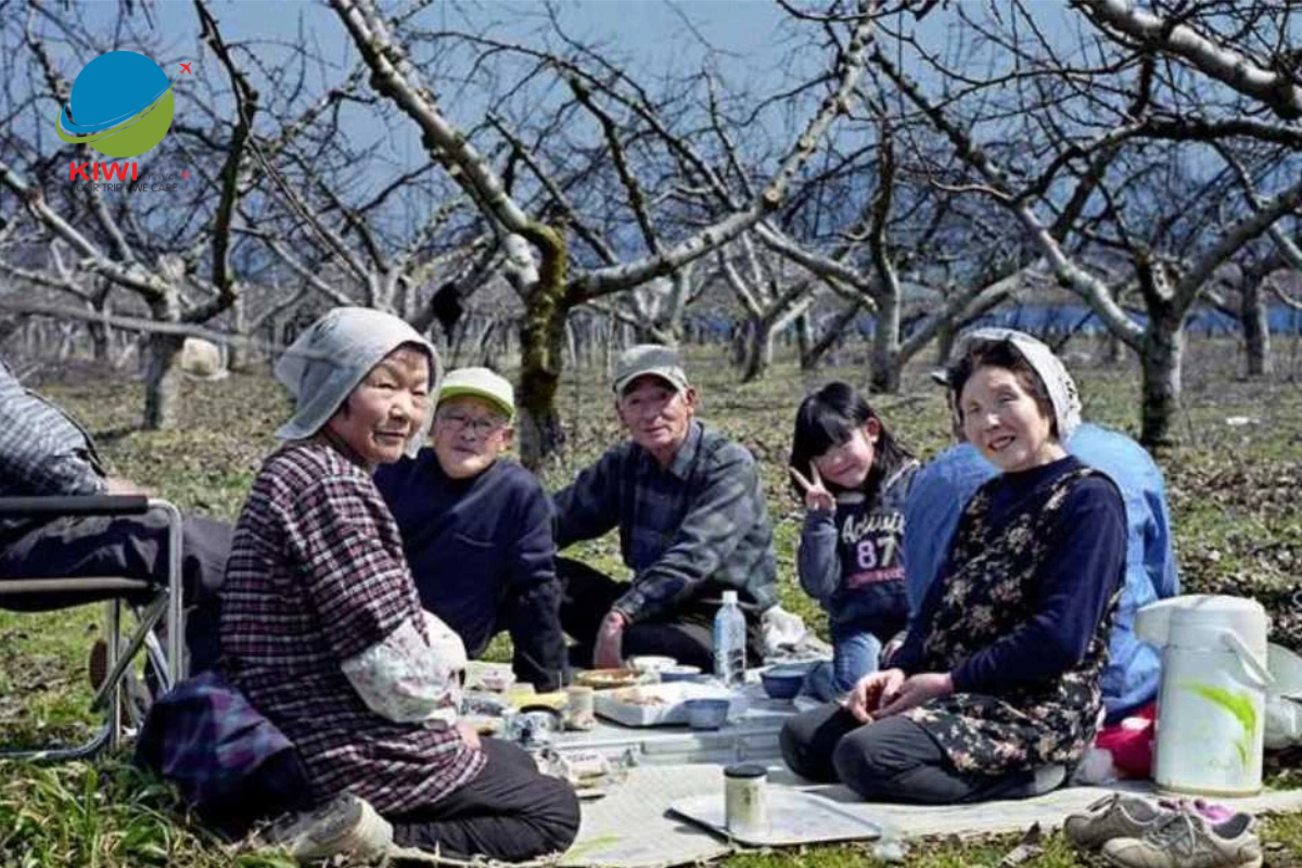 Những Sự Thật Thú Vị Về Nhật Bản Mà Bạn Chưa Nghe Qua