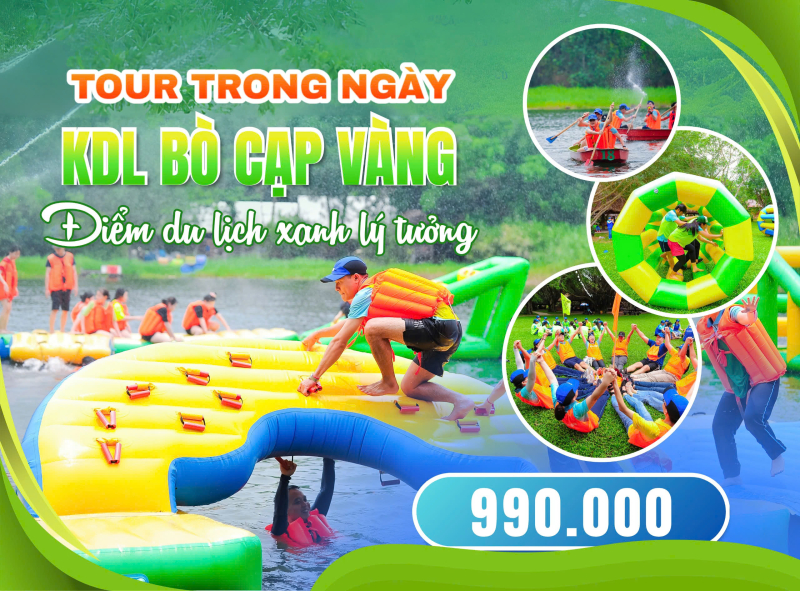 KDL BÒ CẠP VÀNG